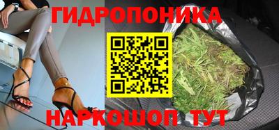 тгк Можга
