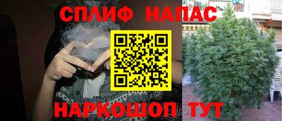 тгк Можга